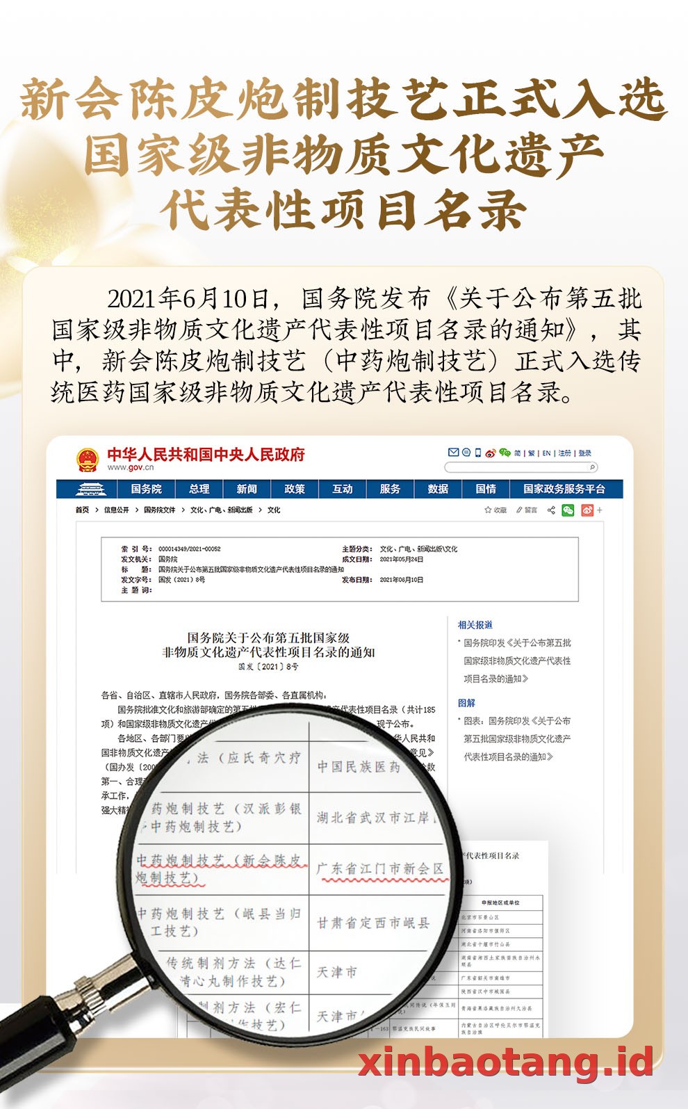 Xinbaotang Chenpi Kering