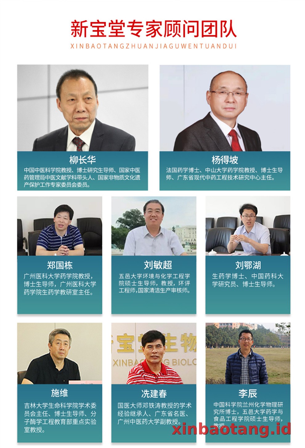 Xinbaotang Enzim Chenpi