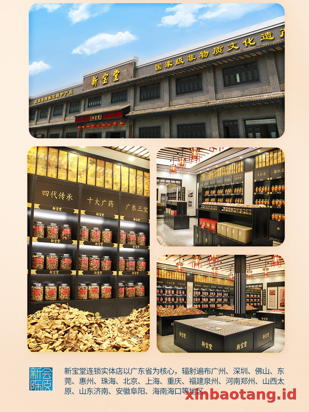 Xinbaotang Ganpu Teh Qing Pi Muda Gift Box 250g