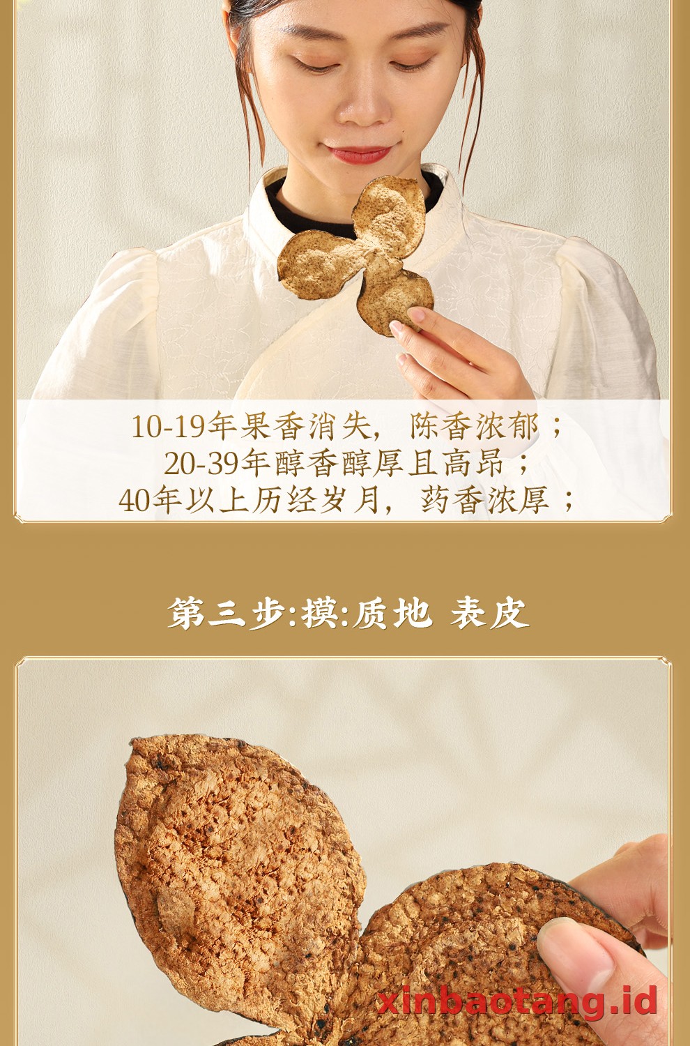 Xinbaotang Chenpi Kering Gift Box 200g