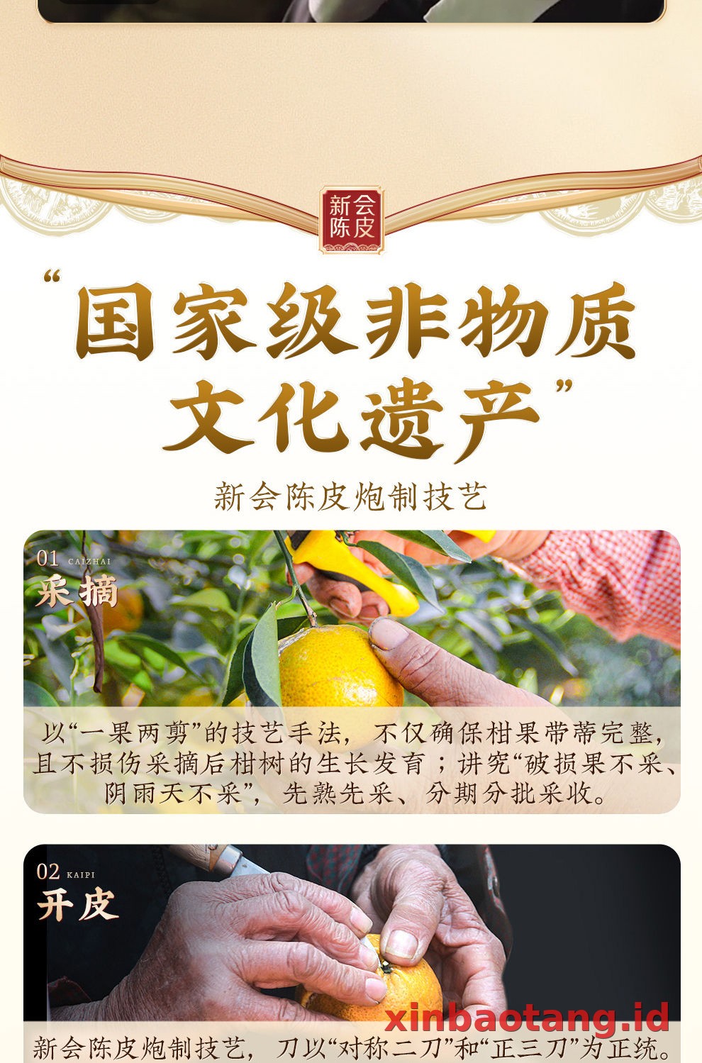 Xinbaotang Chenpi Kering Gift Box 200g