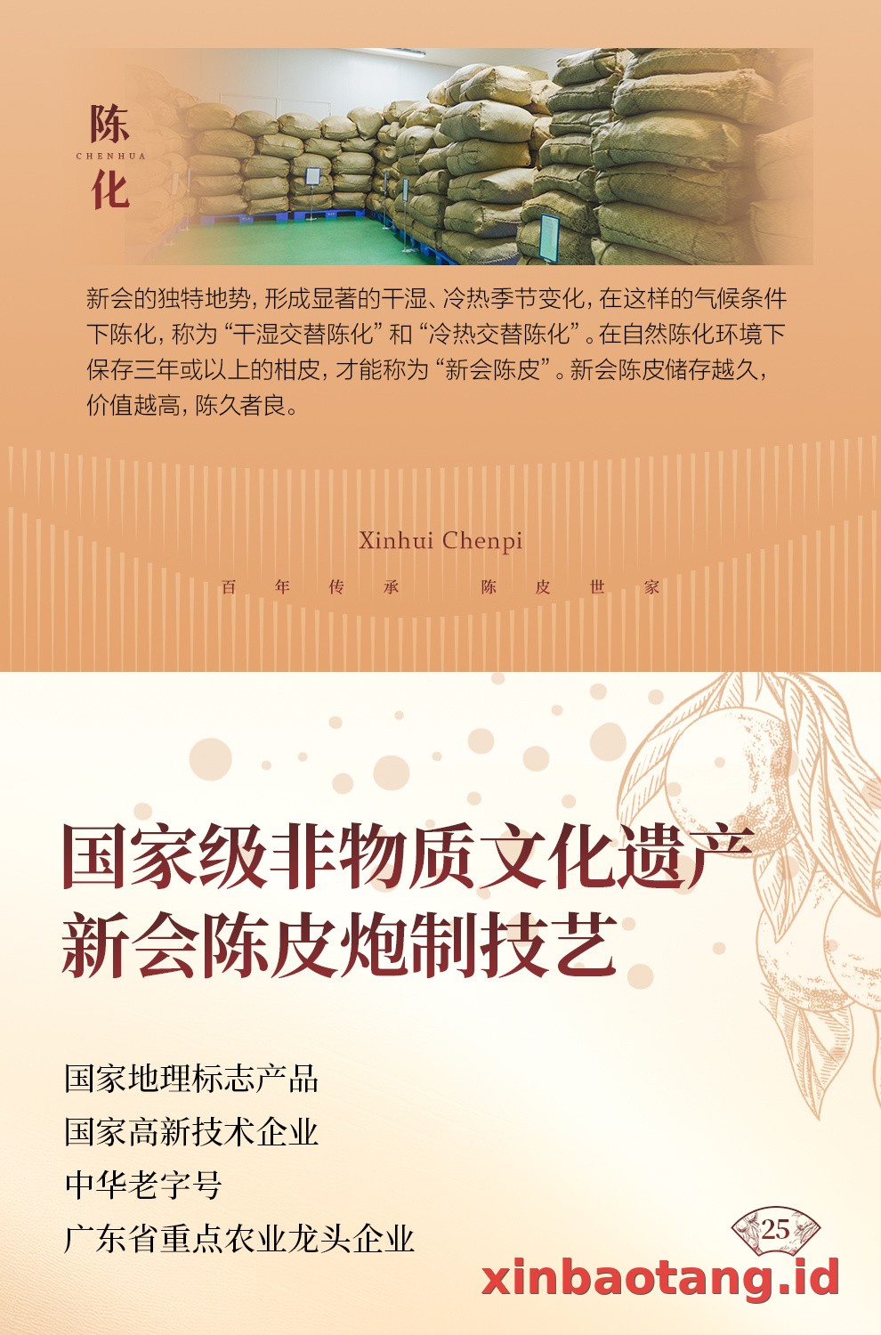 Xinbaotang Chenpi Kering Gift Box 50g