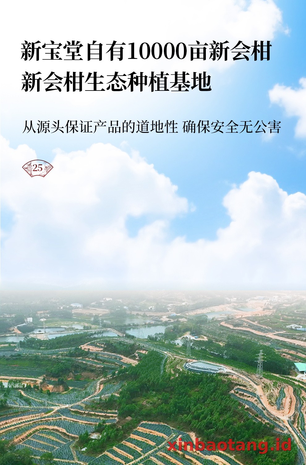 Xinbaotang Chenpi Kering Gift Box 50g