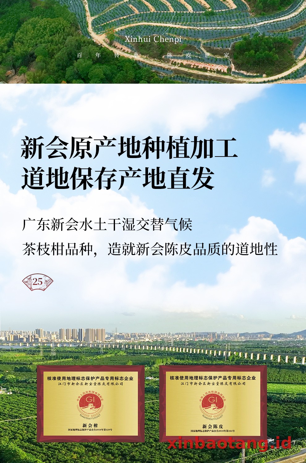 Xinbaotang Chenpi Kering Gift Box 50g