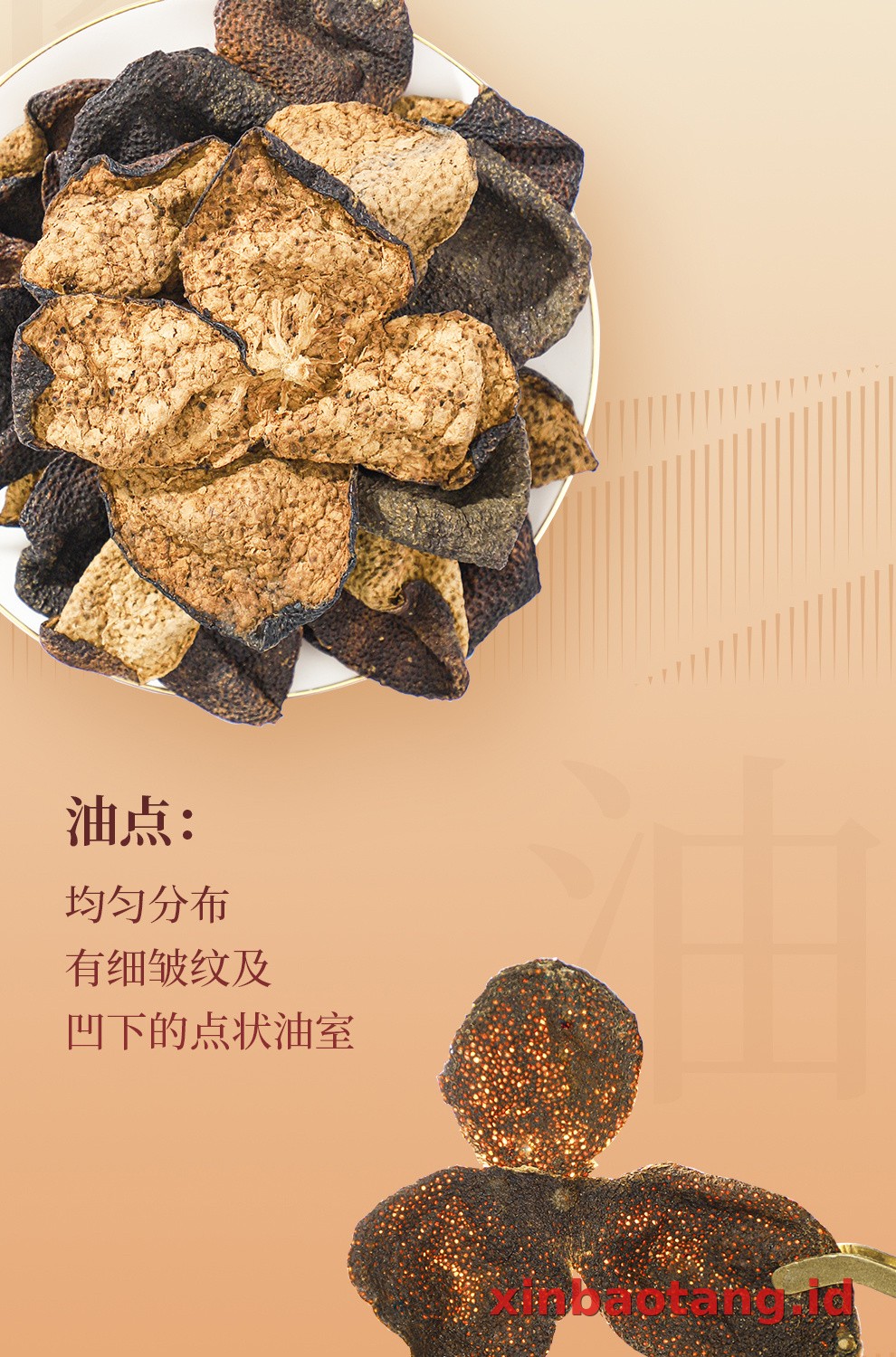 Xinbaotang Chenpi Kering Gift Box 50g