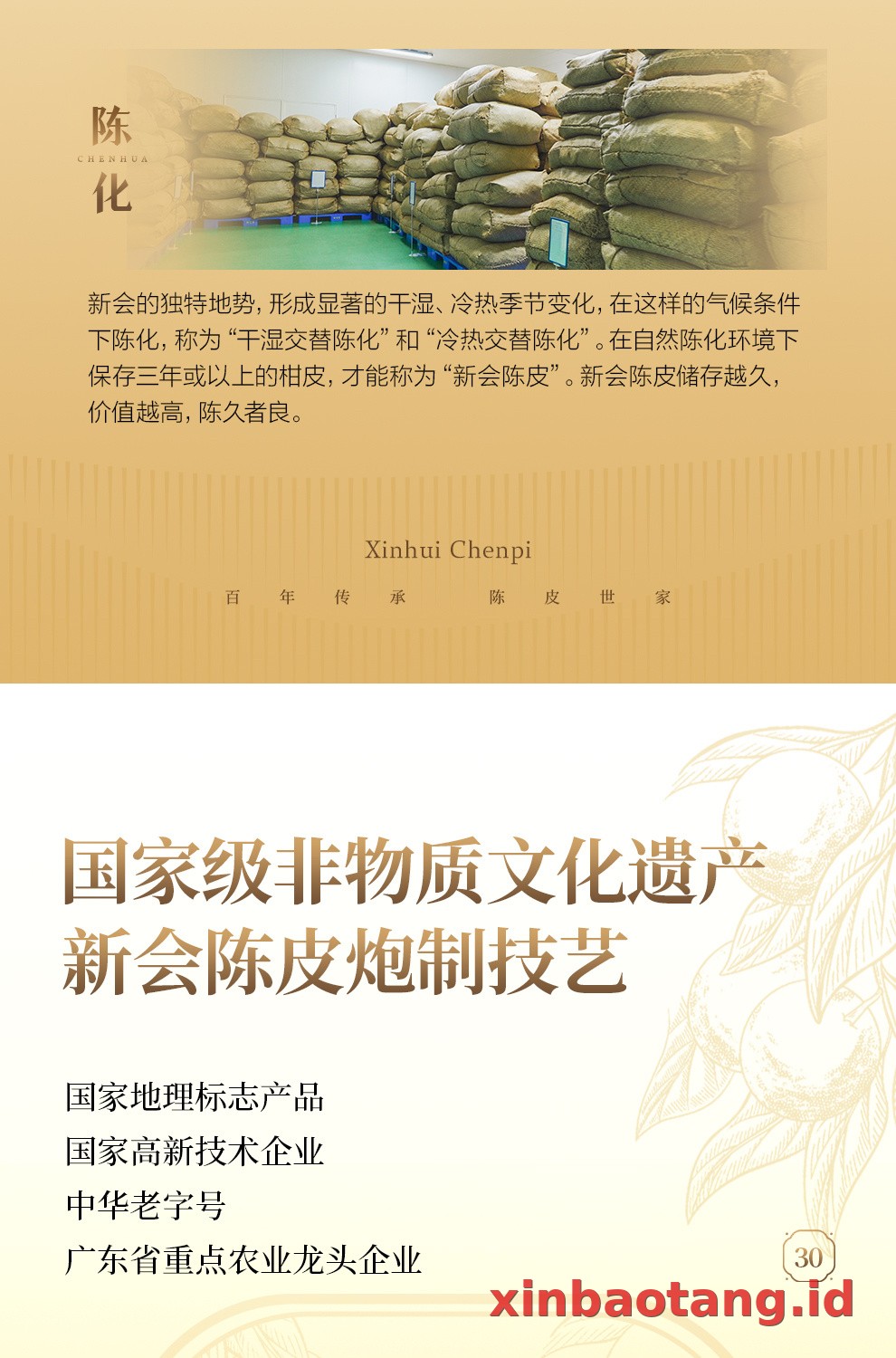 Xinbaotang Chenpi Kering Gift Box 50g