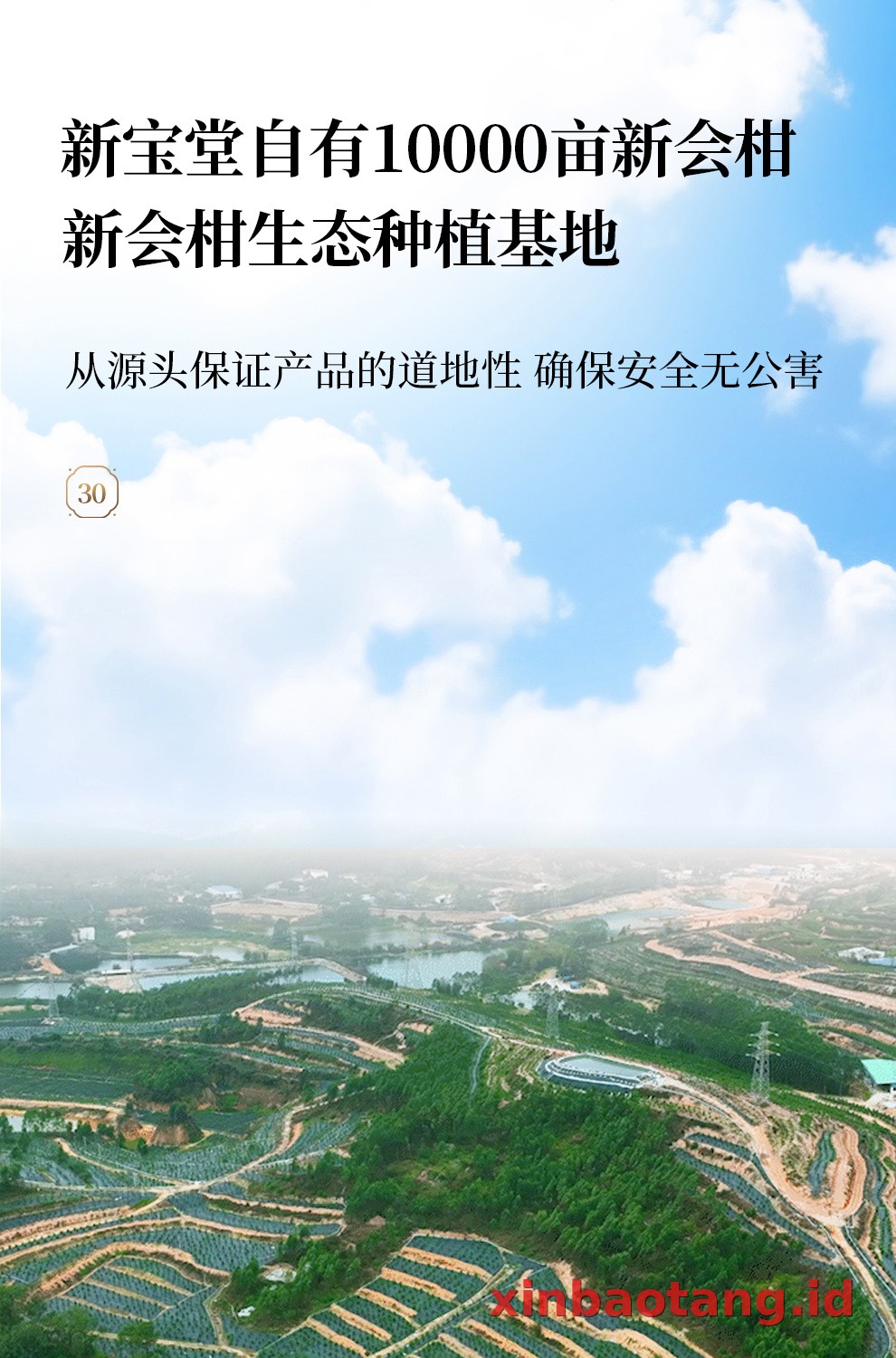 Xinbaotang Chenpi Kering Gift Box 50g