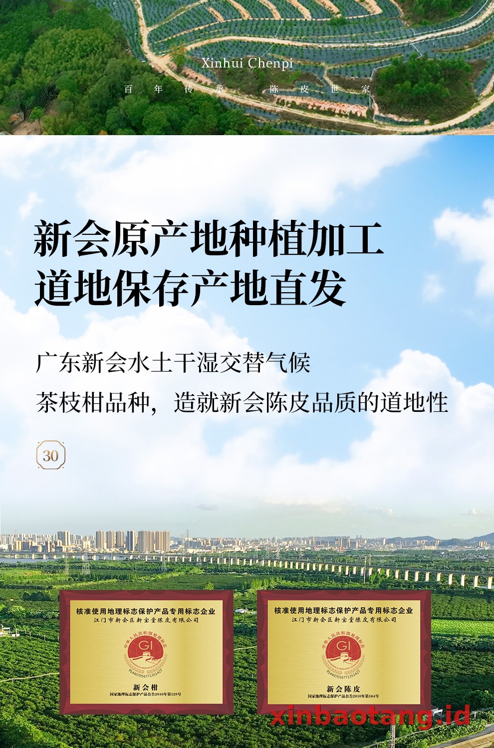Xinbaotang Chenpi Kering Gift Box 50g