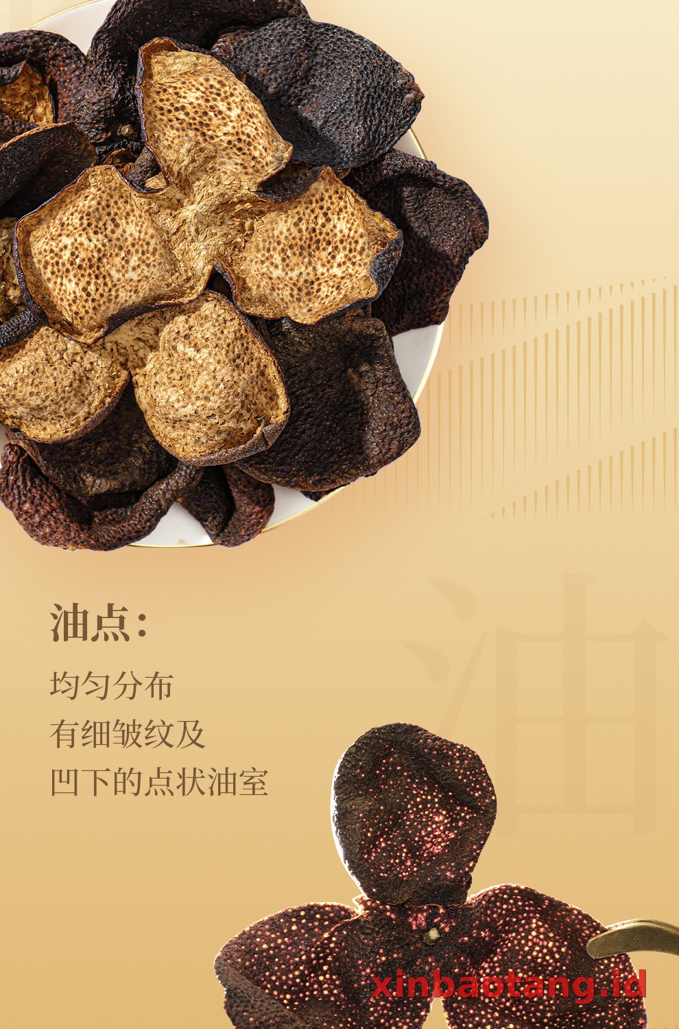 Xinbaotang Chenpi Kering Gift Box 50g