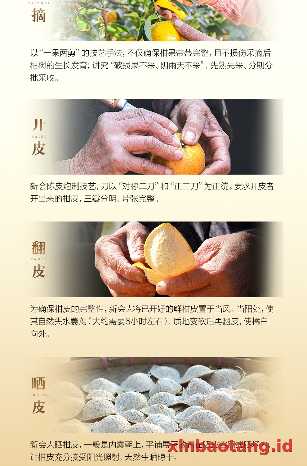 Xinbaotang Chenpi Kering Gift Box 50g