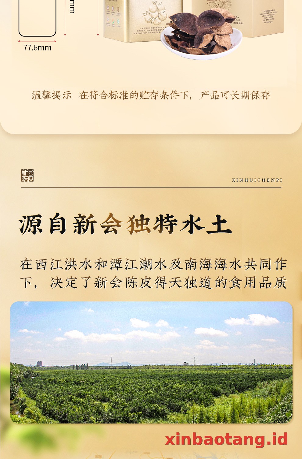 Xinbaotang Chenpi Kering Kaleng 150g