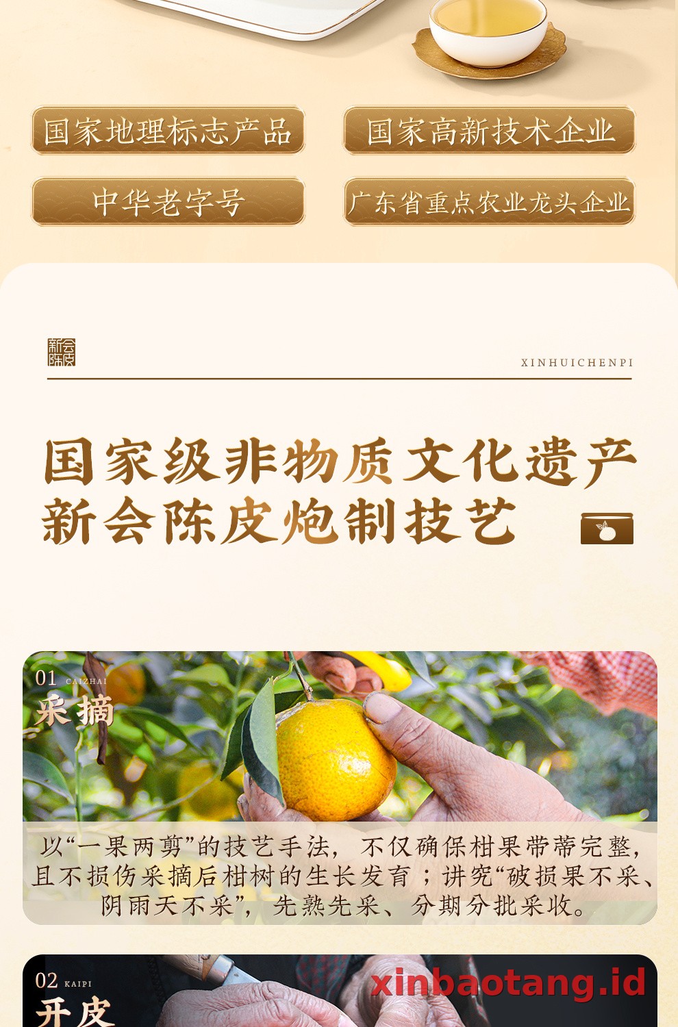 Xinbaotang Chenpi Kering Kaleng 150g
