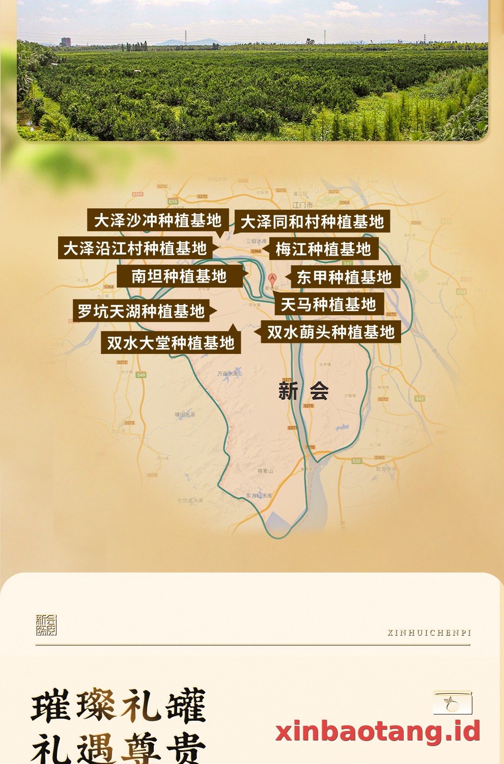 Xinbaotang Chenpi Kering Kaleng 150g