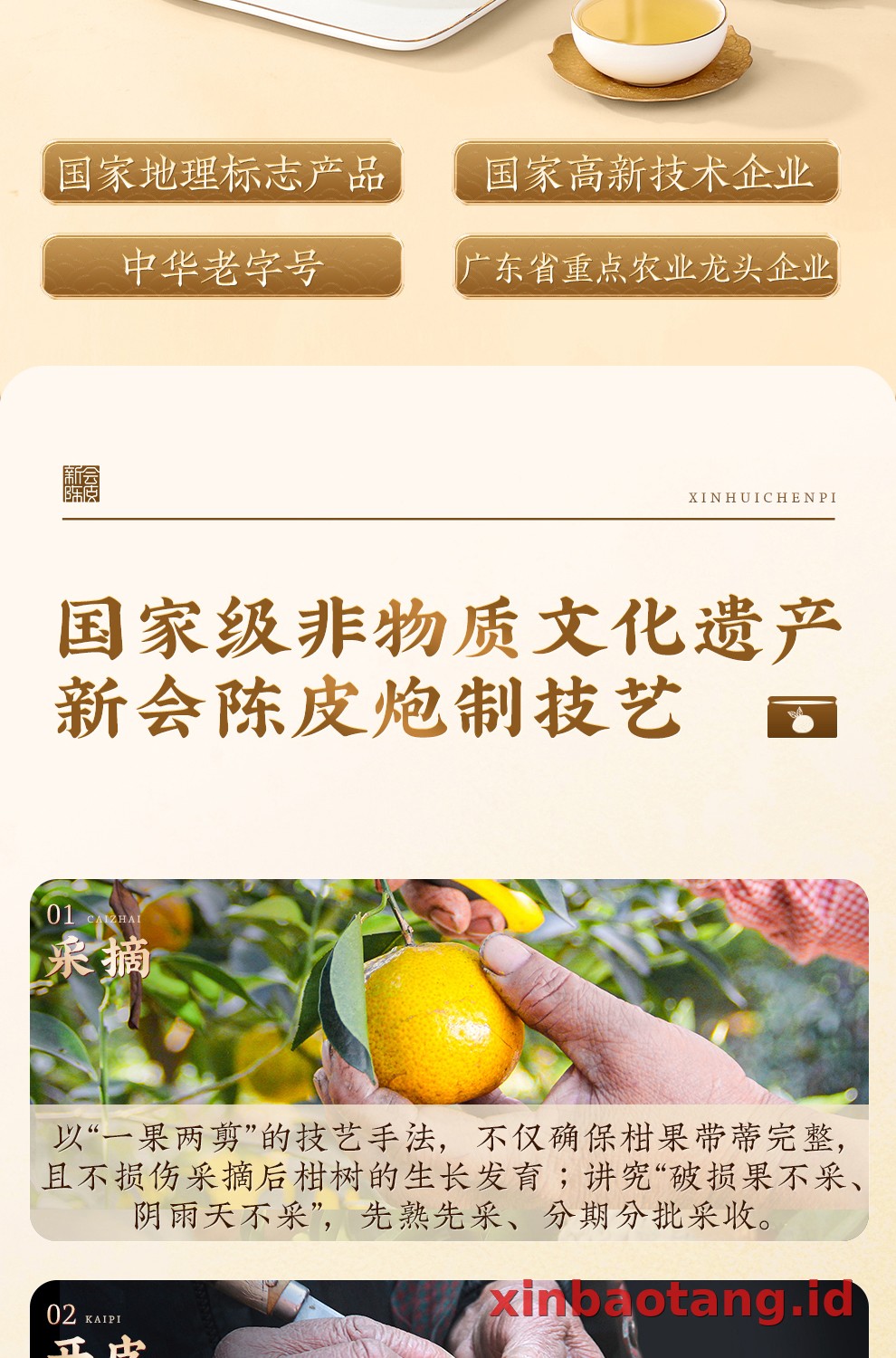 Xinbaotang Chenpi Kering Kaleng 150g