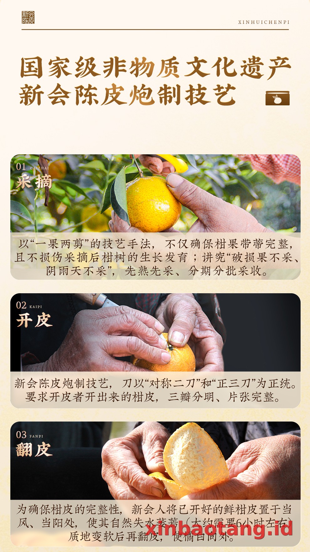 Xinbaotang Chenpi Kering Kaleng 150g