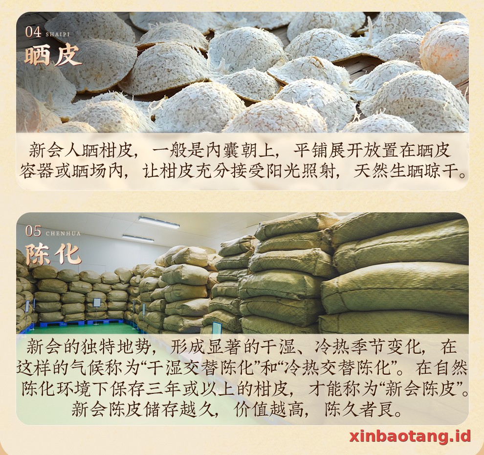 Xinbaotang Chenpi Kering Kaleng 150g