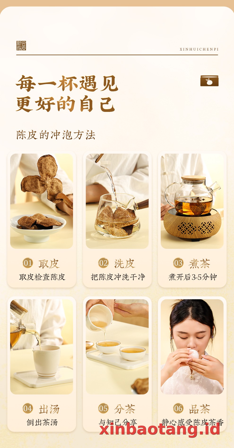 Xinbaotang Chenpi Kering Kaleng 150g