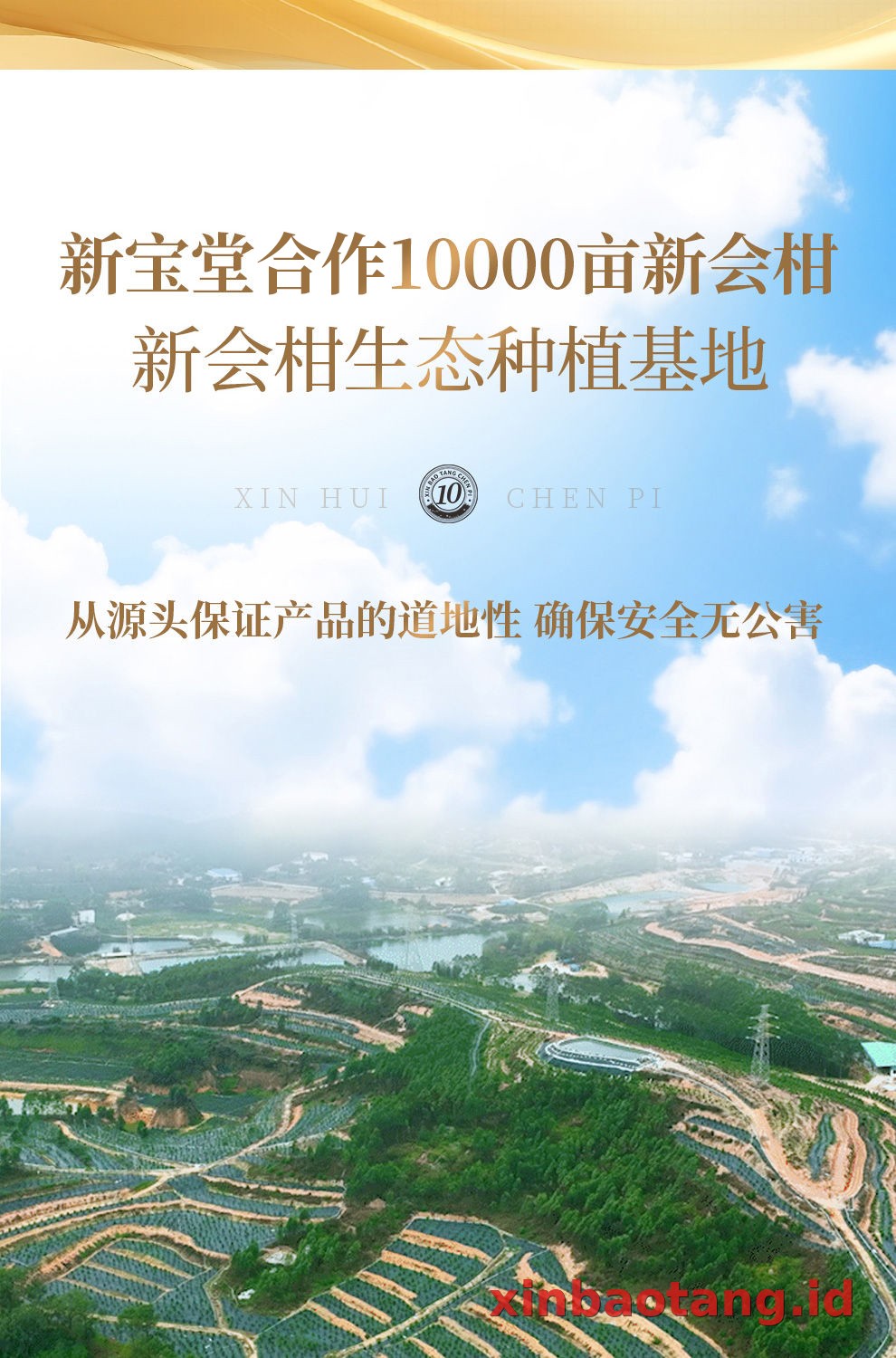 Xinbaotang Chenpi Kering Gift Box 100g