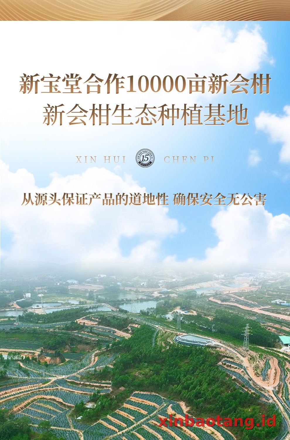 Xinbaotang Chenpi Kering Gift Box 100g