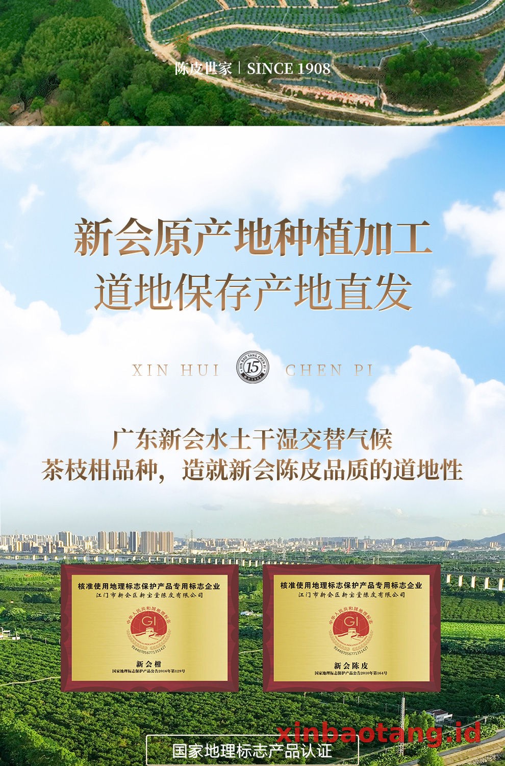 Xinbaotang Chenpi Kering Gift Box 100g