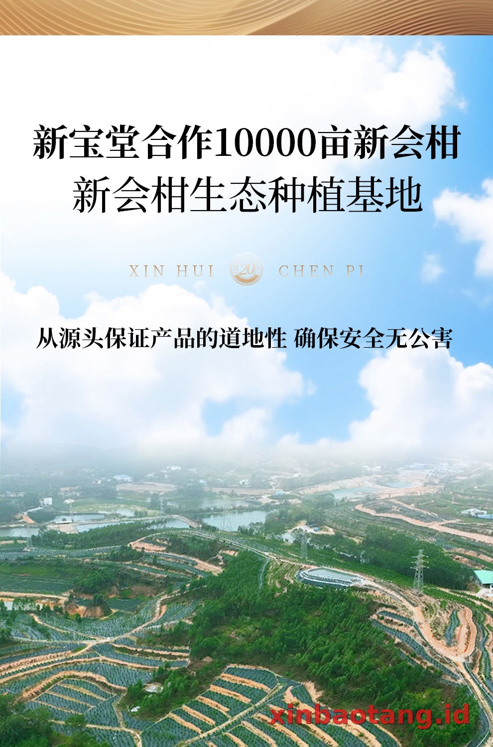 Xinbaotang Chenpi Kering Gift Box 100g