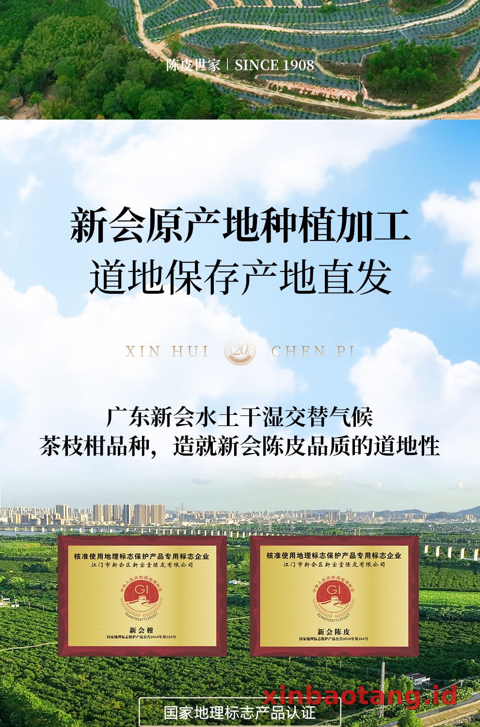 Xinbaotang Chenpi Kering Gift Box 100g