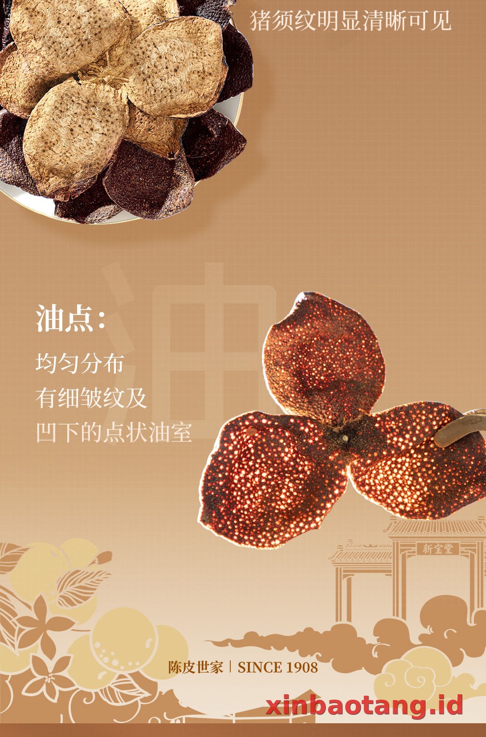 Xinbaotang Chenpi Kering Gift Box 100g