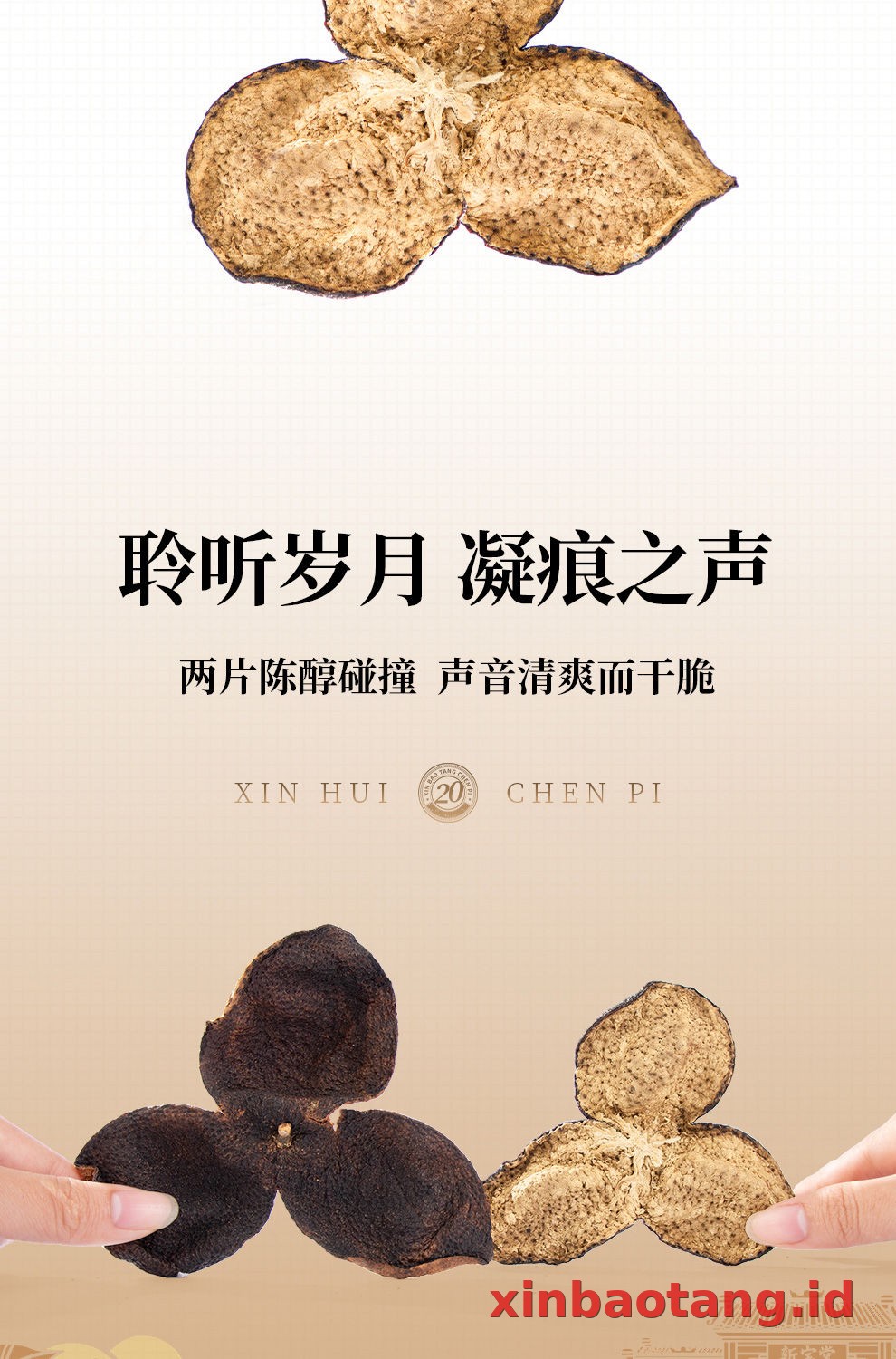Xinbaotang Chenpi Kering Gift Box 100g