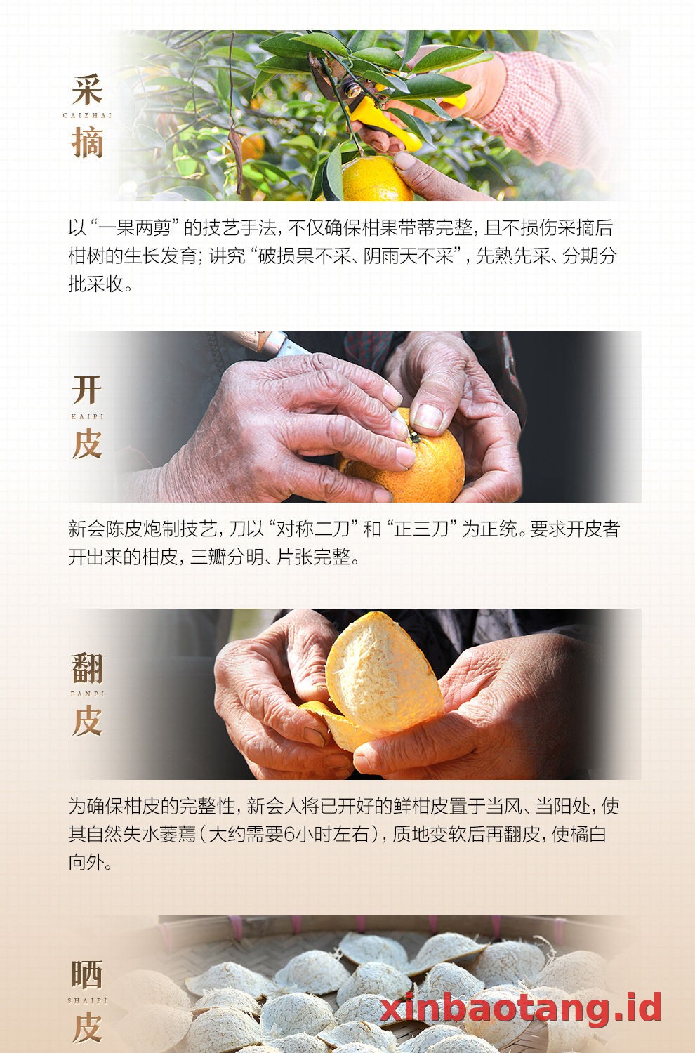 Xinbaotang Chenpi Kering Gift Box 100g