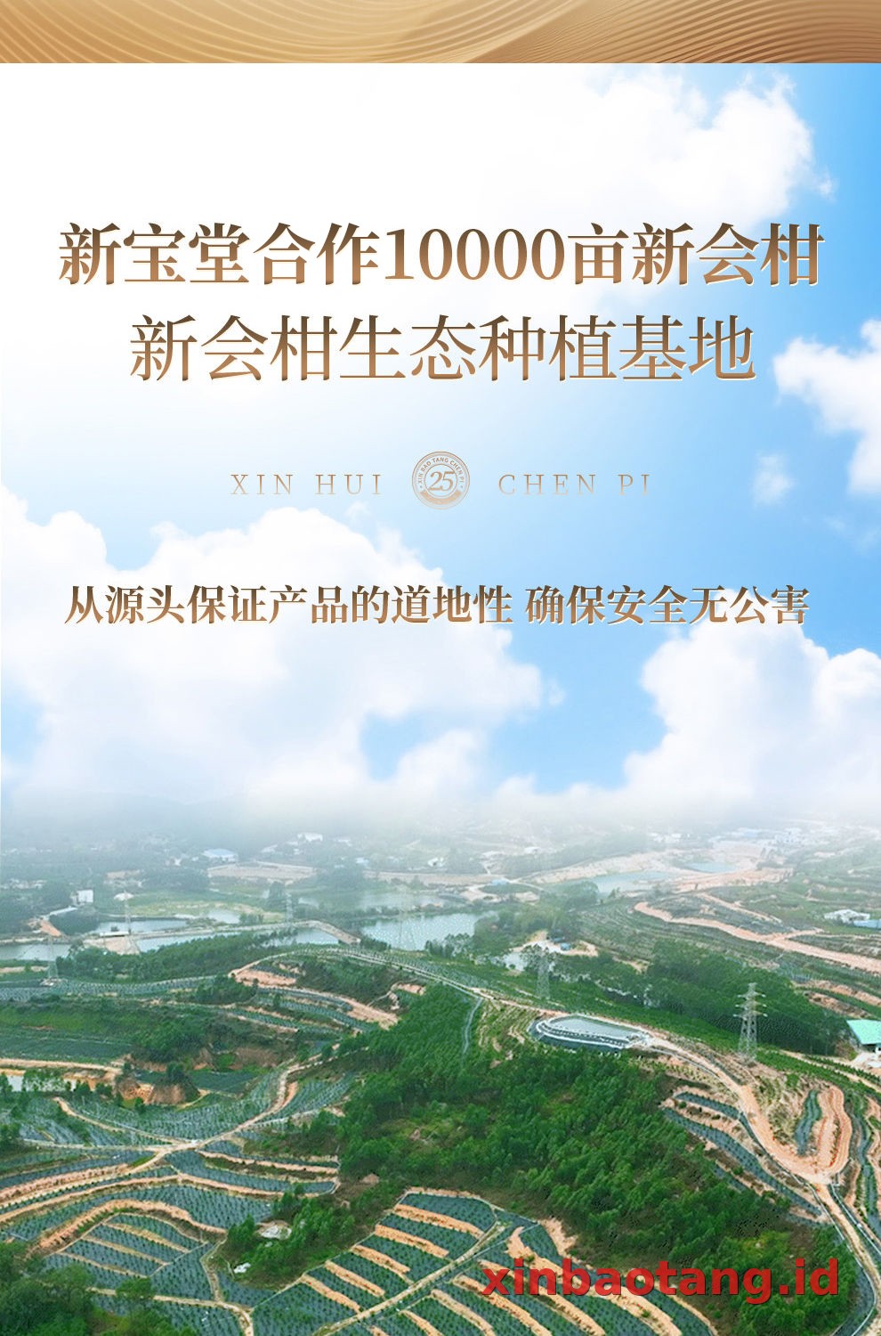 Xinbaotang Chenpi Kering Gift Box 100g