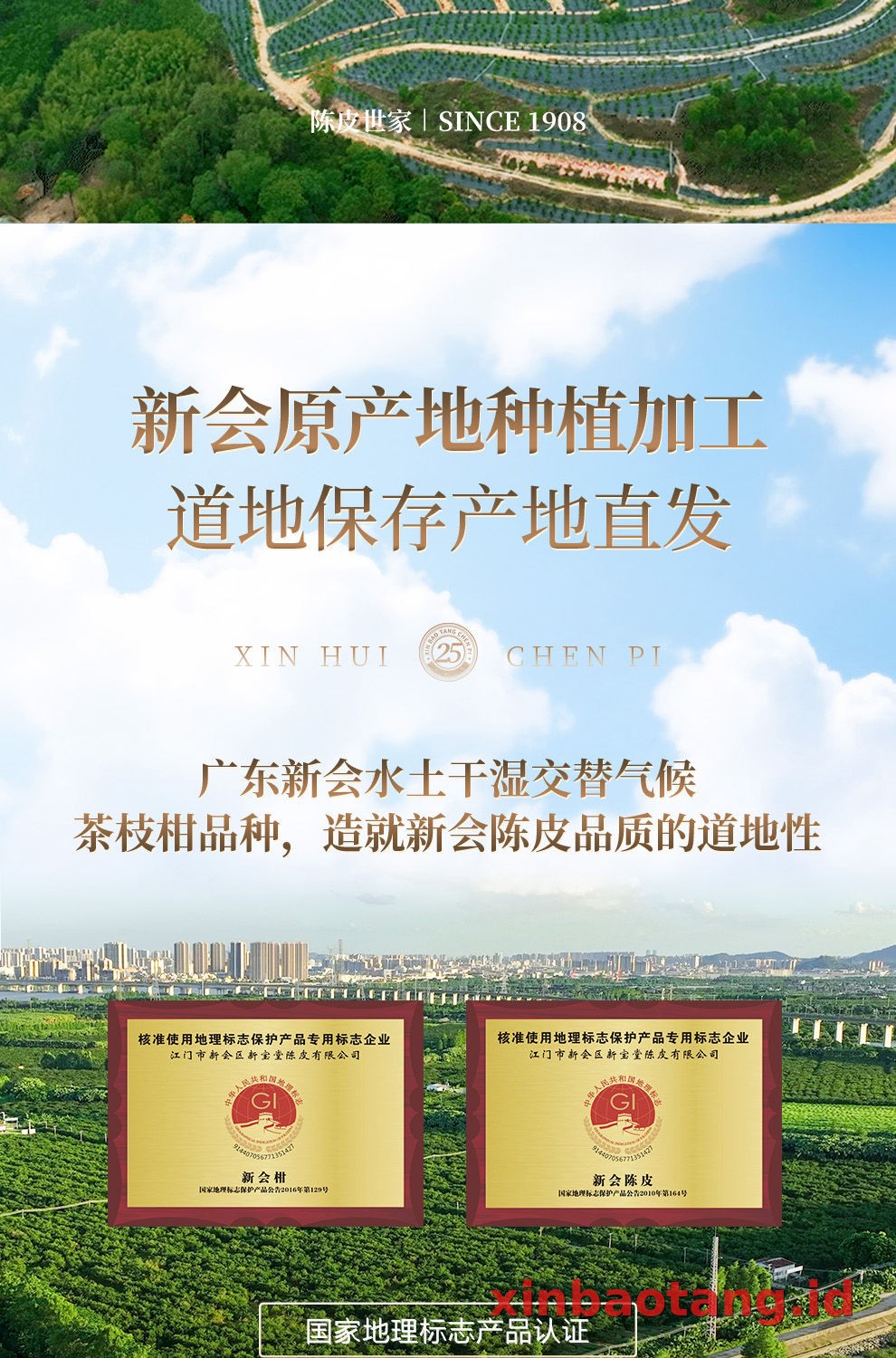 Xinbaotang Chenpi Kering Gift Box 100g