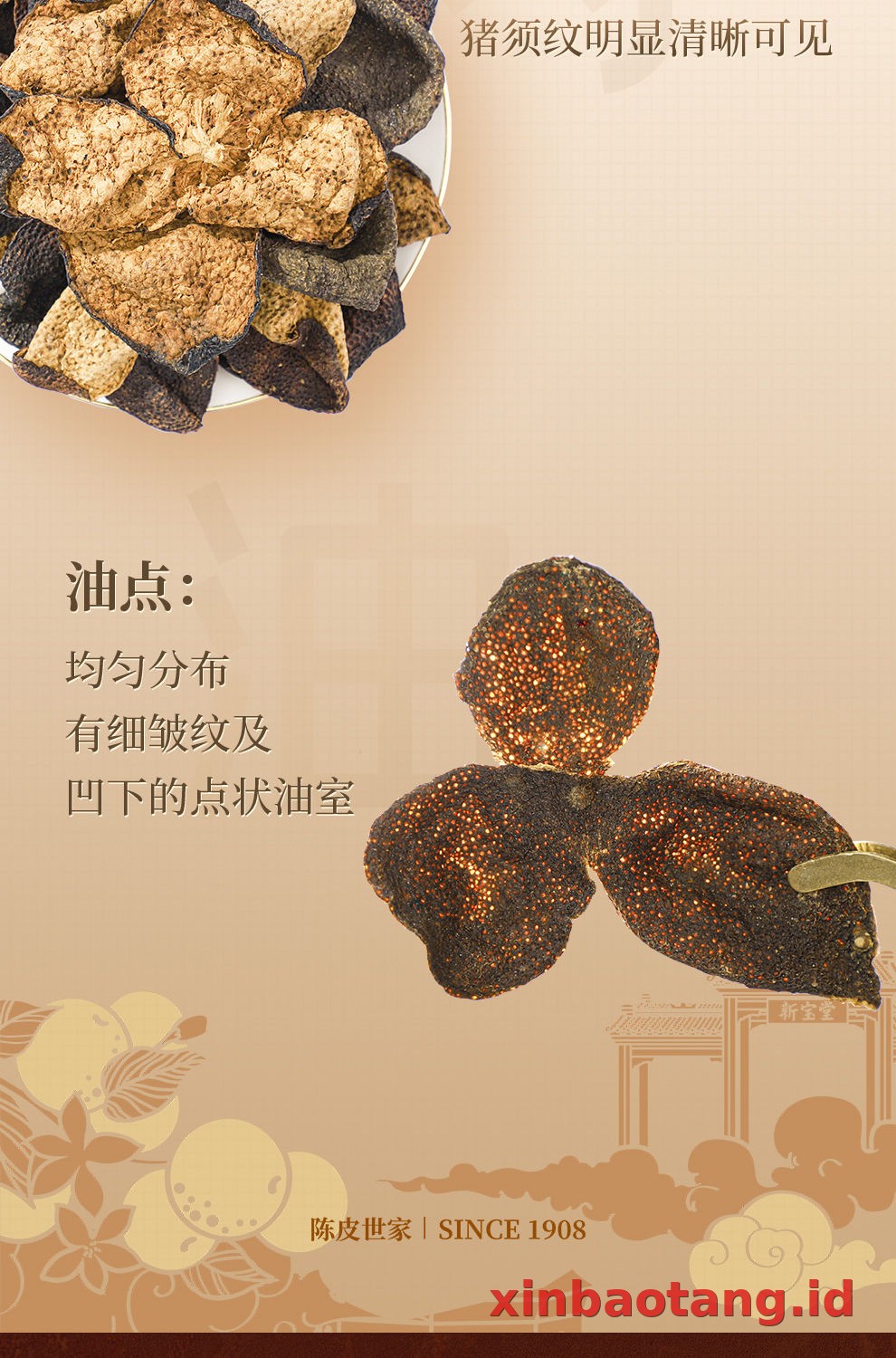Xinbaotang Chenpi Kering Gift Box 100g