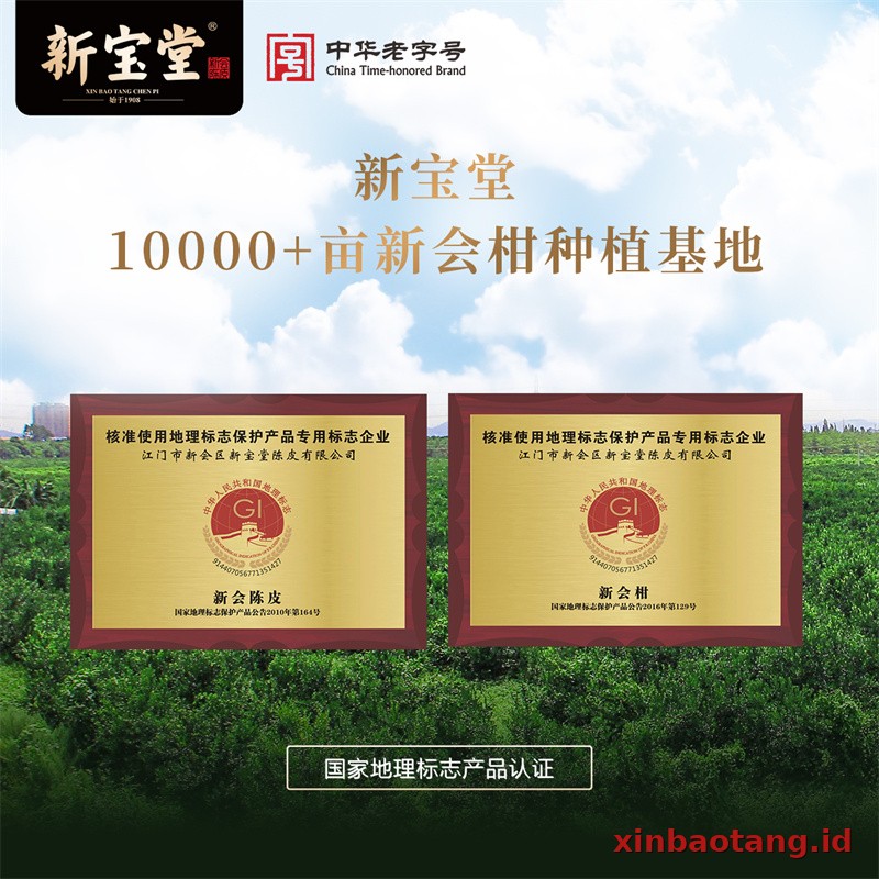 Xinbaotang Chenpi Kering Gift Box 100g - Gambar 3