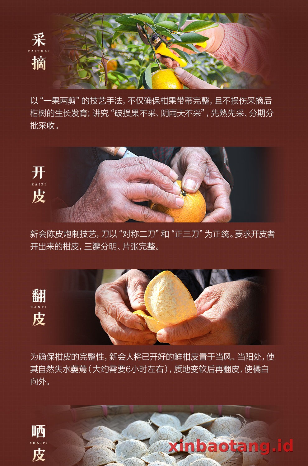 Xinbaotang Chenpi Kering Gift Box 100g