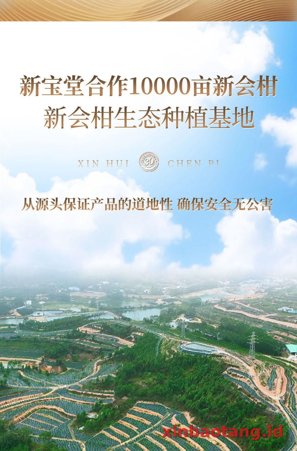 Xinbaotang Chenpi Kering Gift Box 100g