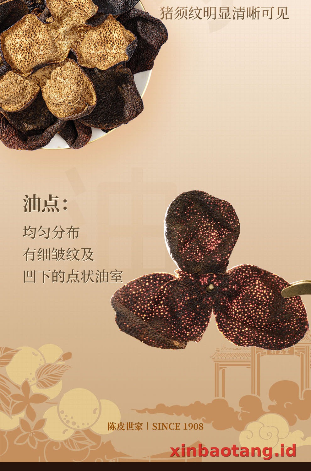 Xinbaotang Chenpi Kering Gift Box 100g