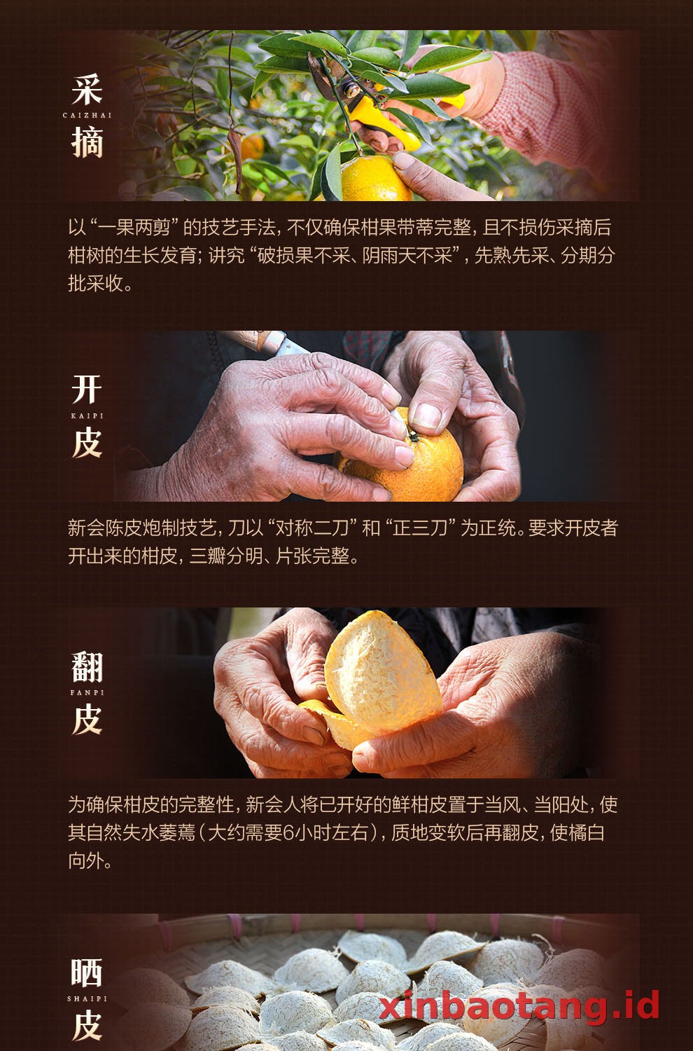 Xinbaotang Chenpi Kering Gift Box 100g