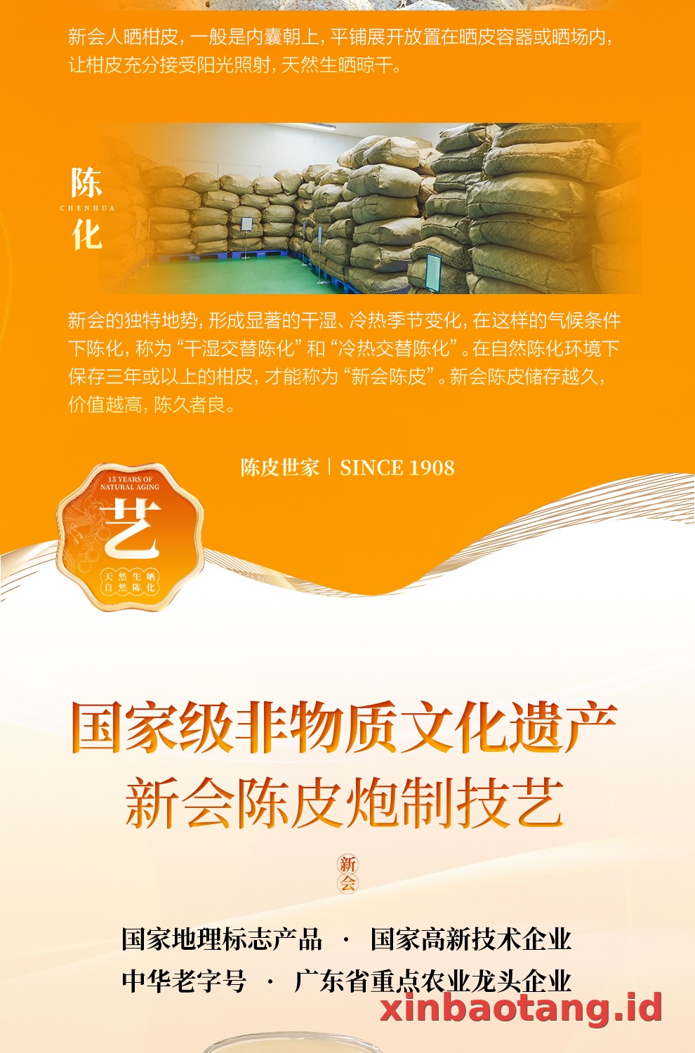 Xinbaotang Chenpi Kering 30g