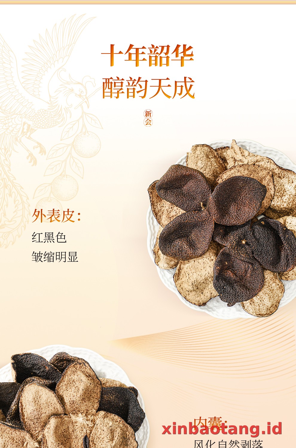 Xinbaotang Chenpi Kering 30g
