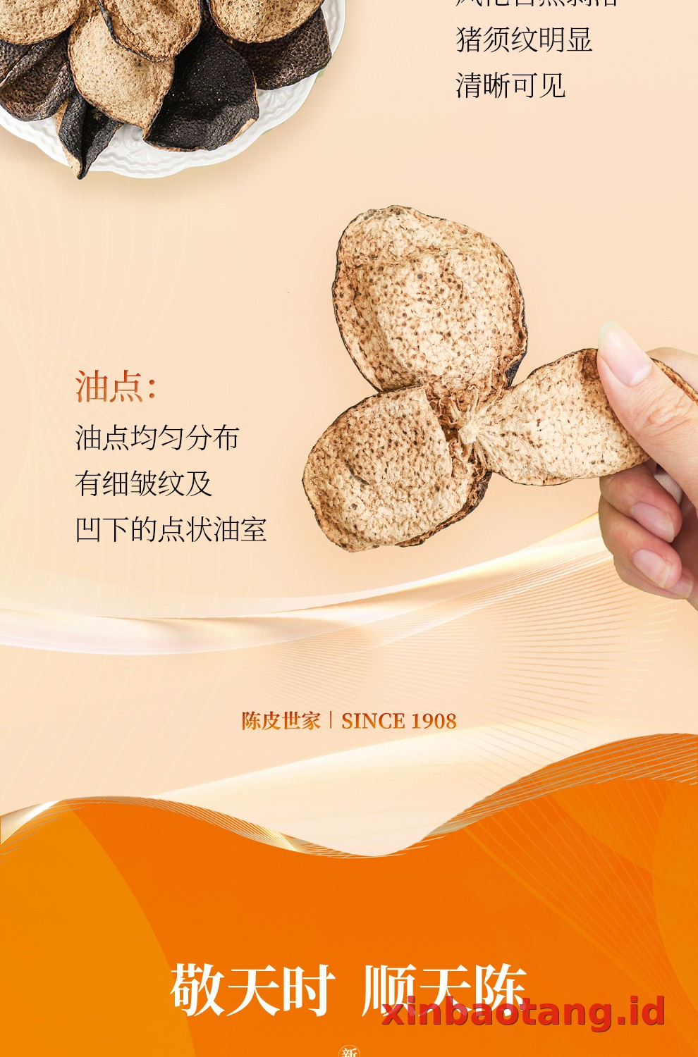 Xinbaotang Chenpi Kering 30g