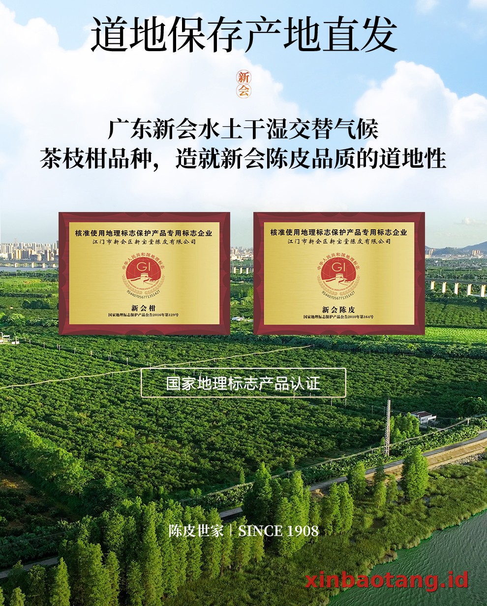 Xinbaotang Chenpi Kering 30g