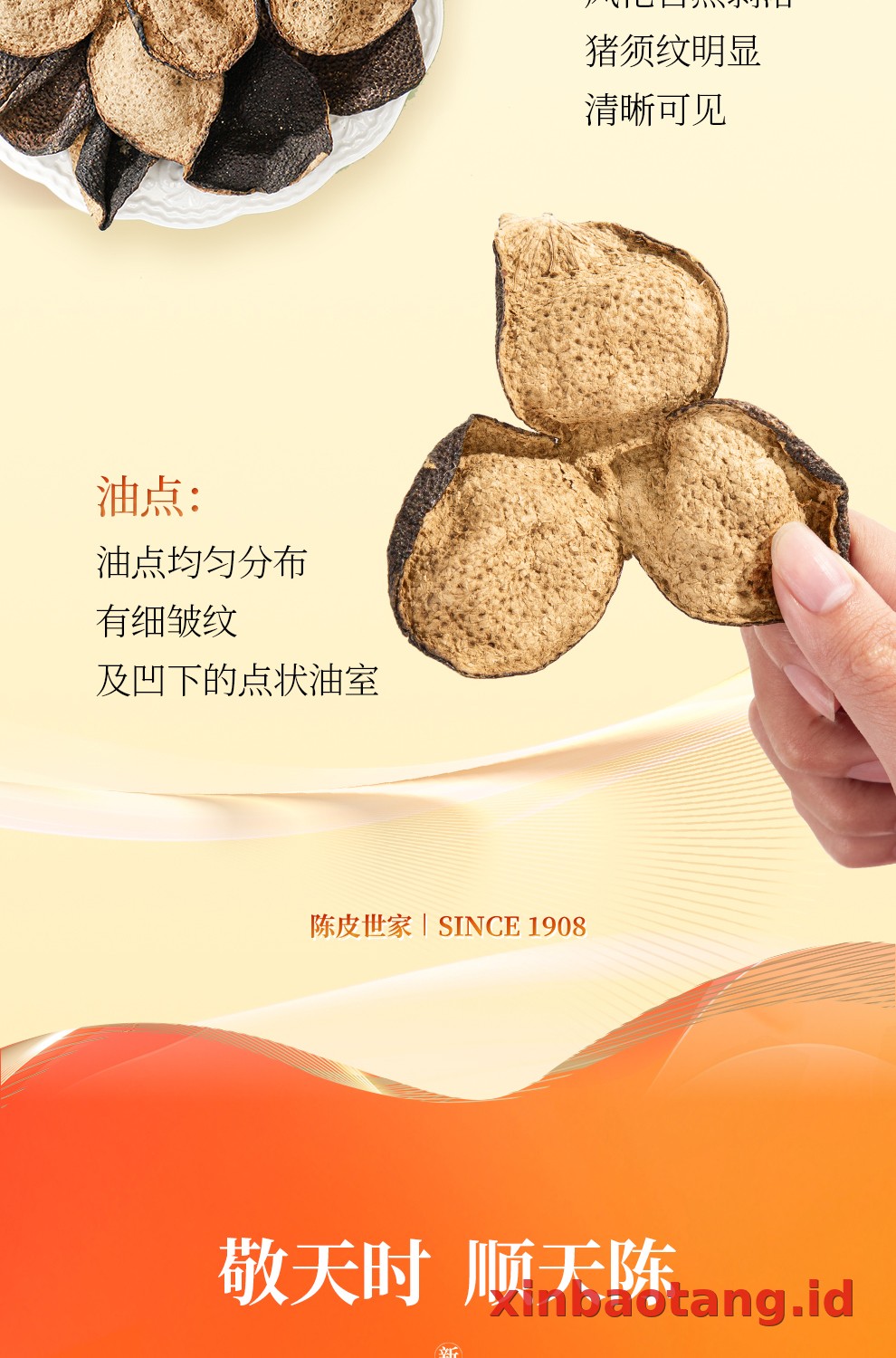 Xinbaotang Chenpi Kering 30g