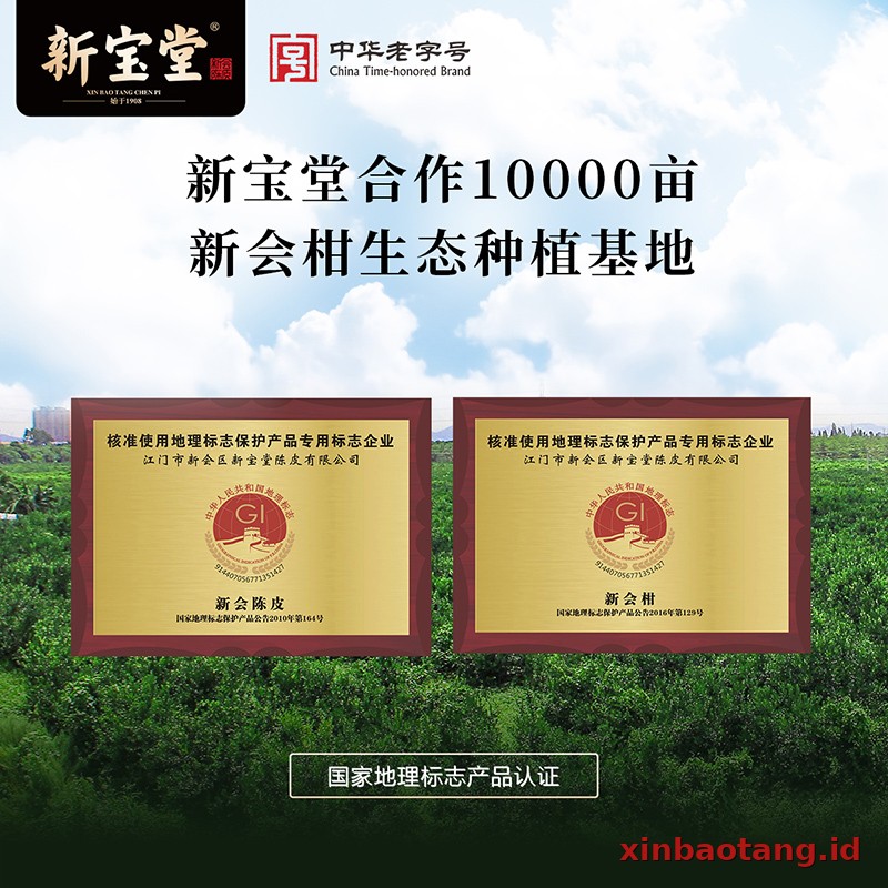 Xinbaotang Chenpi Kering 30g - Gambar 3