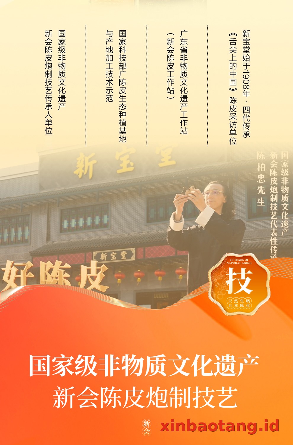 Xinbaotang Chenpi Kering 30g