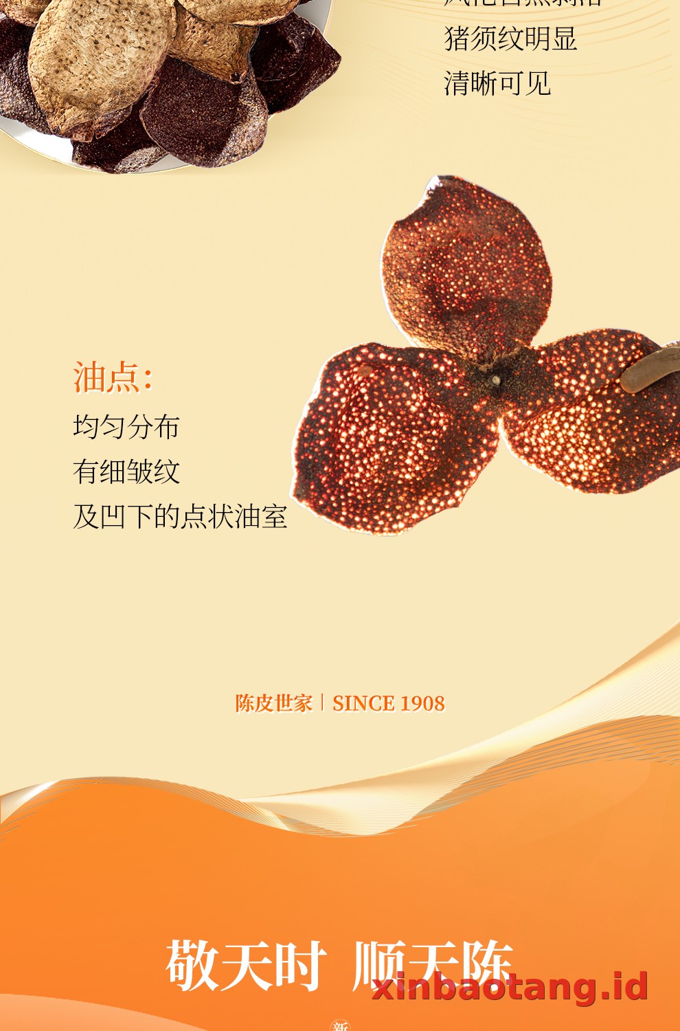 Xinbaotang Chenpi Kering 30g