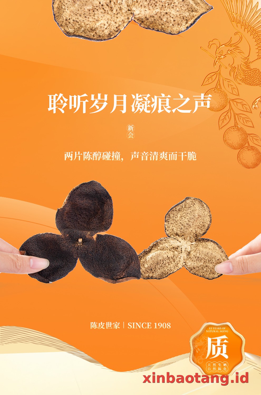 Xinbaotang Chenpi Kering 30g