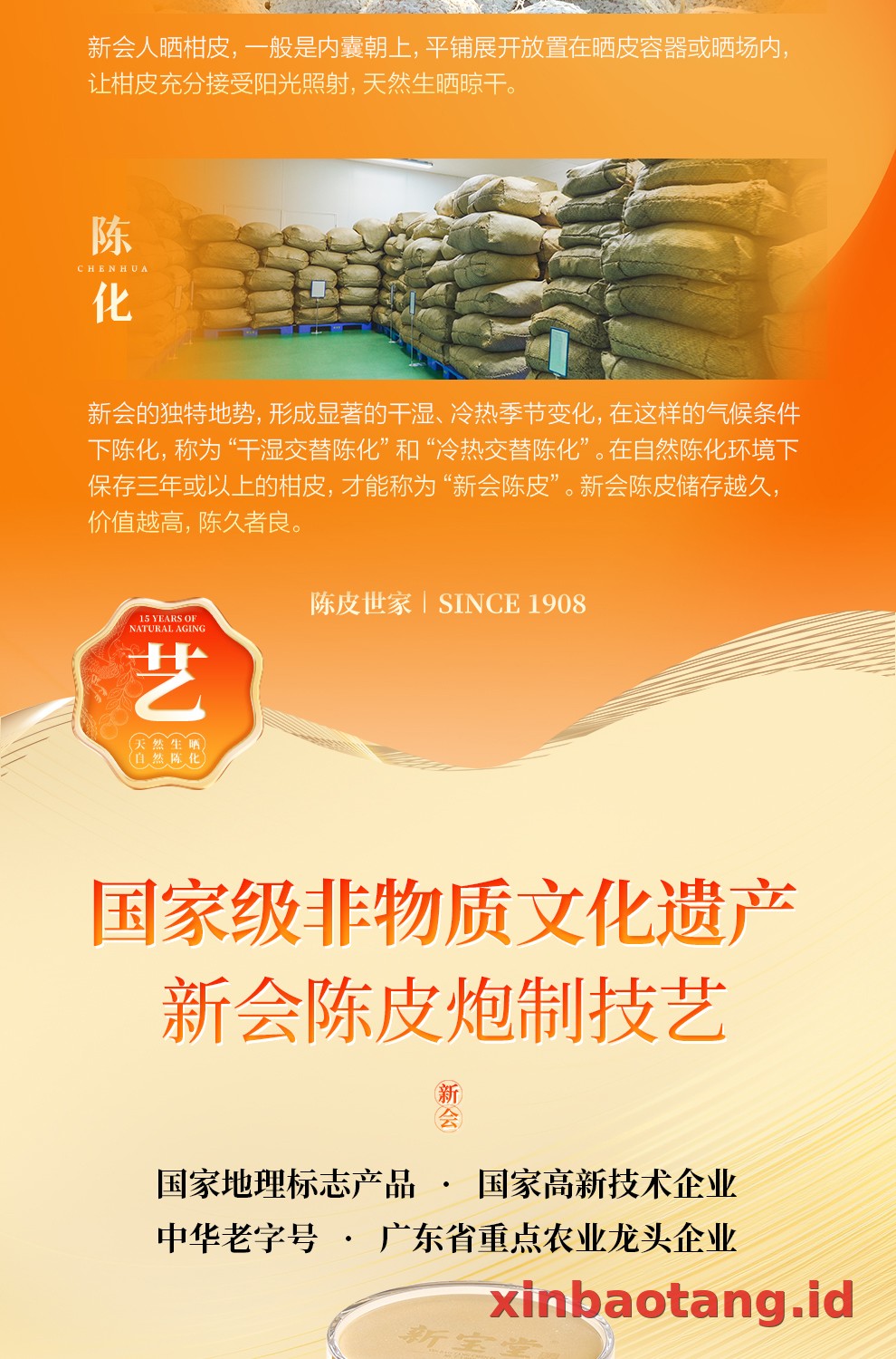 Xinbaotang Chenpi Kering 30g
