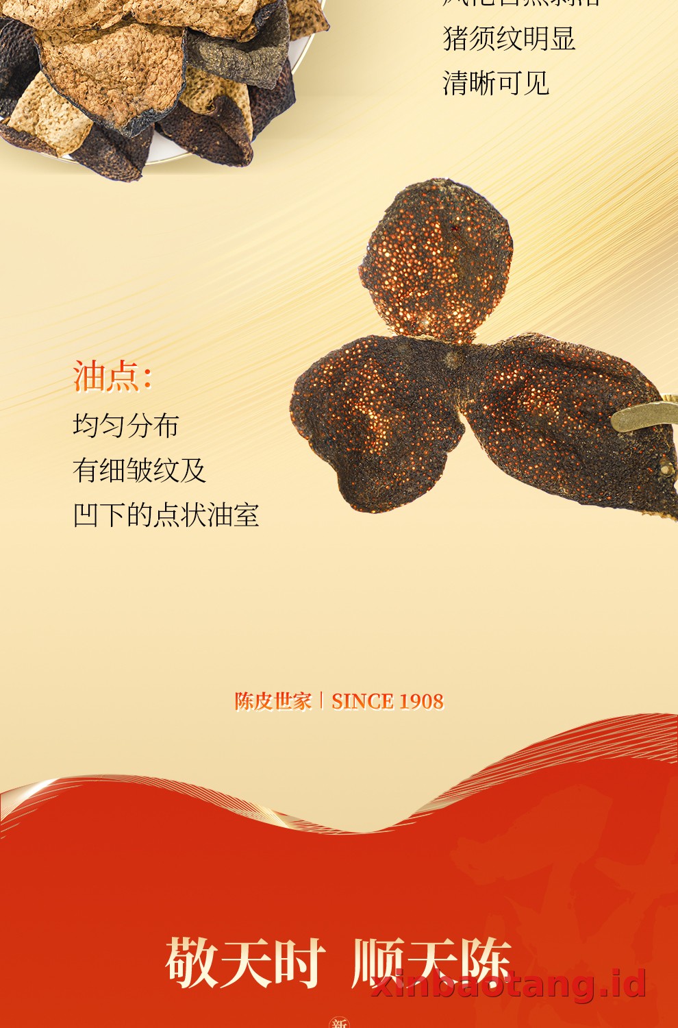 Xinbaotang Chenpi Kering 30g