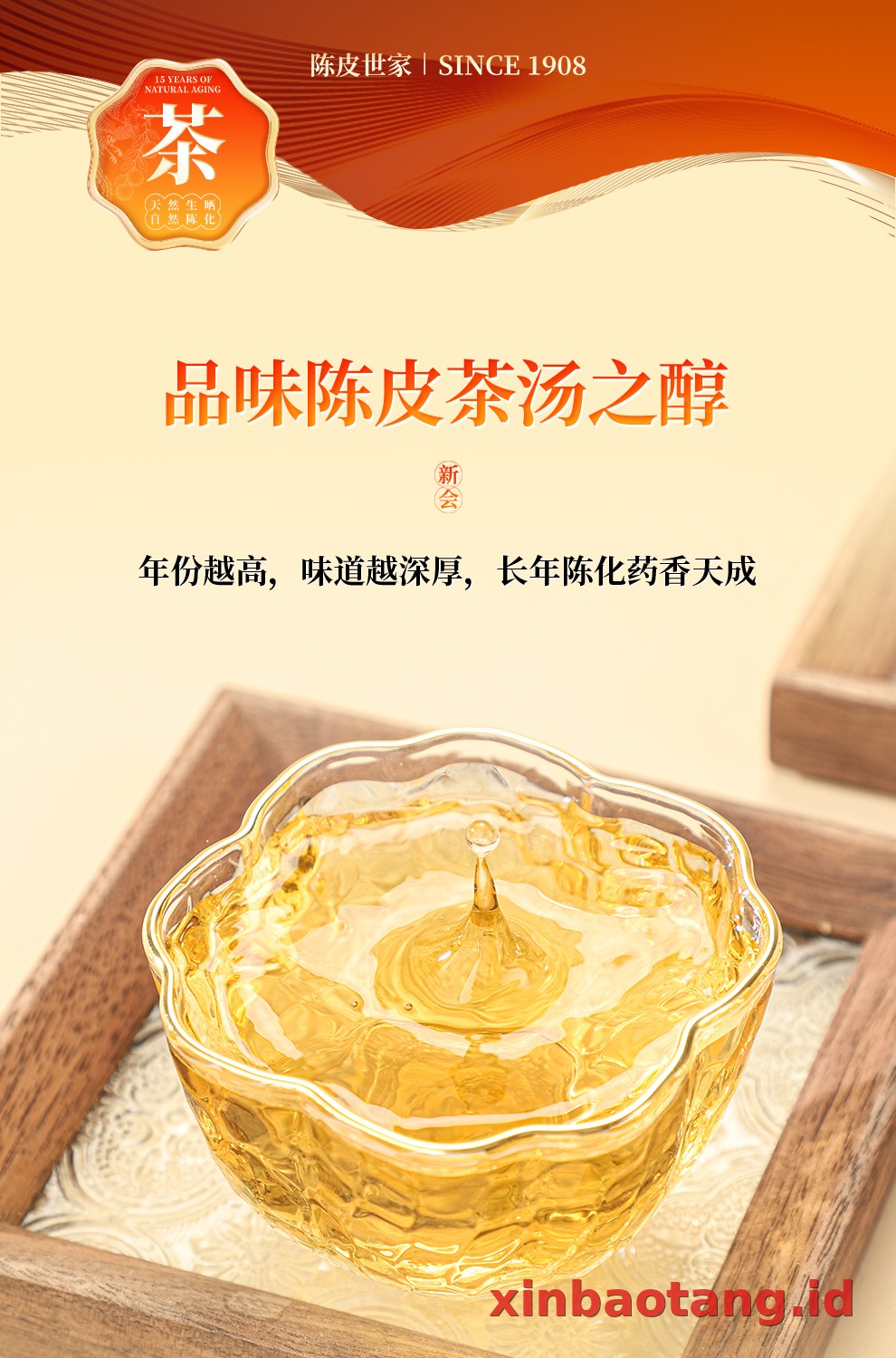 Xinbaotang Chenpi Kering 30g