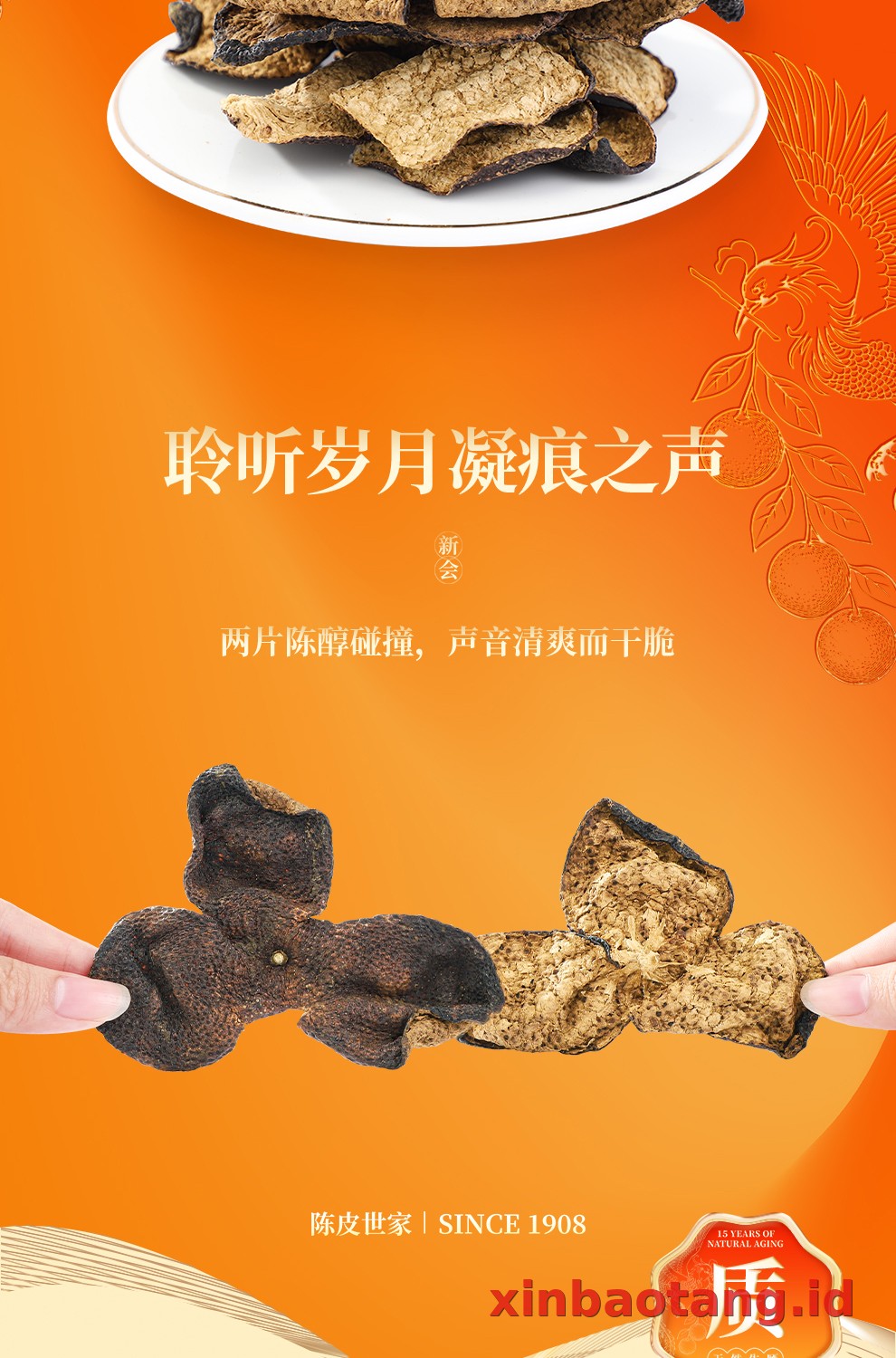 Xinbaotang Chenpi Kering 30g